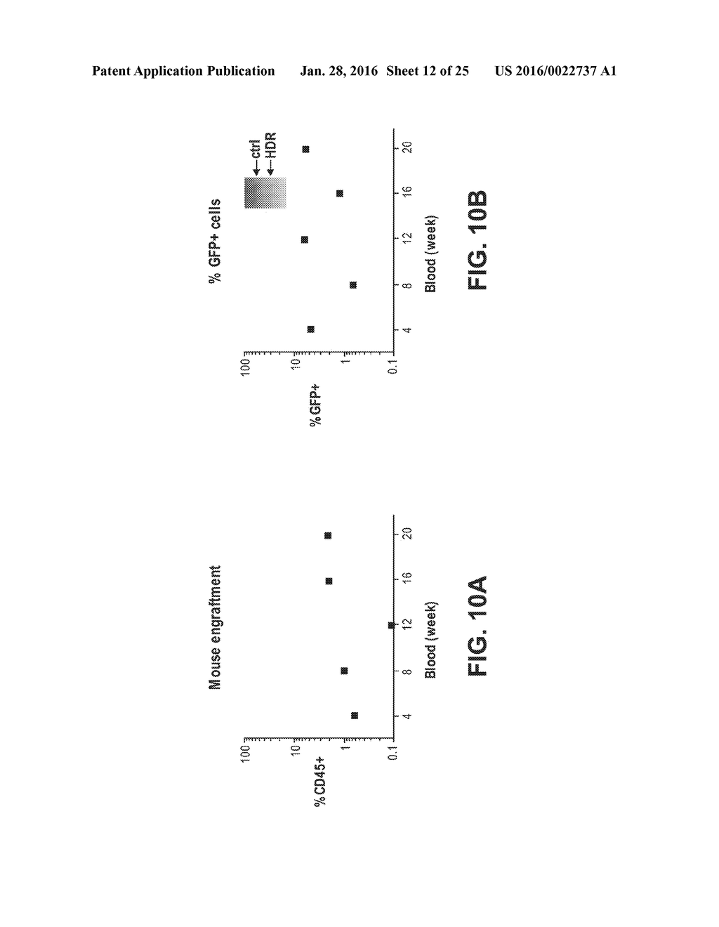 GENE EDITING FOR HIV GENE THERAPY - diagram, schematic, and image 13