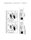 METHODS FOR CELL EXPANSION AND USES OF CELLS AND CONDITIONED MEDIA     PRODUCED THEREBY FOR THERAPY diagram and image