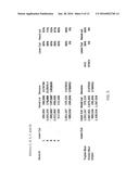 Minced Cartilage Systems and Methods diagram and image