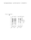 THERAPEUTIC METHODS FOR TREATING SOLID TUMORS AND RELATED DIAGNOSTIC     METHODS diagram and image