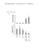 THERAPEUTIC METHODS FOR TREATING SOLID TUMORS AND RELATED DIAGNOSTIC     METHODS diagram and image