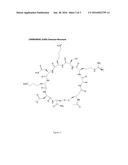 Methods for Increasing the Selective Efficacy of Gene Therapy Using CAR     Peptide and Heparan-Sulfate Mediated Macropinocytosis diagram and image