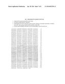 PURINE NUCLEOSIDE PHOSPHORYLASE AS ENZYMATIC ACTIVATOR OF NUCLEOSIDE     PRODRUGS diagram and image