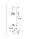 ANTIGEN PRESENTING CELL TARGETED CANCER VACCINES diagram and image