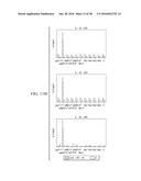 ANTIGEN PRESENTING CELL TARGETED CANCER VACCINES diagram and image