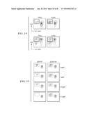 ANTIGEN PRESENTING CELL TARGETED CANCER VACCINES diagram and image