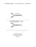 ANTIGEN PRESENTING CELL TARGETED CANCER VACCINES diagram and image