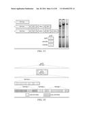 ANTIGEN PRESENTING CELL TARGETED CANCER VACCINES diagram and image