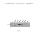 Synthetic Immunogens For Prophylaxis Or Treatment Of Tuberculosis diagram and image