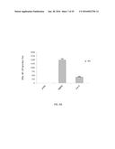 Synthetic Immunogens For Prophylaxis Or Treatment Of Tuberculosis diagram and image