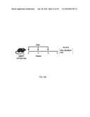 Synthetic Immunogens For Prophylaxis Or Treatment Of Tuberculosis diagram and image