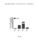 Synthetic Immunogens For Prophylaxis Or Treatment Of Tuberculosis diagram and image