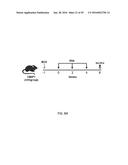 Synthetic Immunogens For Prophylaxis Or Treatment Of Tuberculosis diagram and image