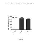 Synthetic Immunogens For Prophylaxis Or Treatment Of Tuberculosis diagram and image