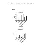 METHODS AND COMPOSITIONS EMPLOYING IMMUNOGENIC FUSION PROTEINS diagram and image