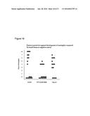 METHODS AND COMPOSITIONS EMPLOYING IMMUNOGENIC FUSION PROTEINS diagram and image