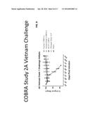 COMPUTATIONALLY OPTIMIZED BROADLY REACTIVE ANTIGENS FOR HUMAN AND AVIAN     H5N1 INFLUENZA diagram and image