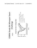 COMPUTATIONALLY OPTIMIZED BROADLY REACTIVE ANTIGENS FOR HUMAN AND AVIAN     H5N1 INFLUENZA diagram and image