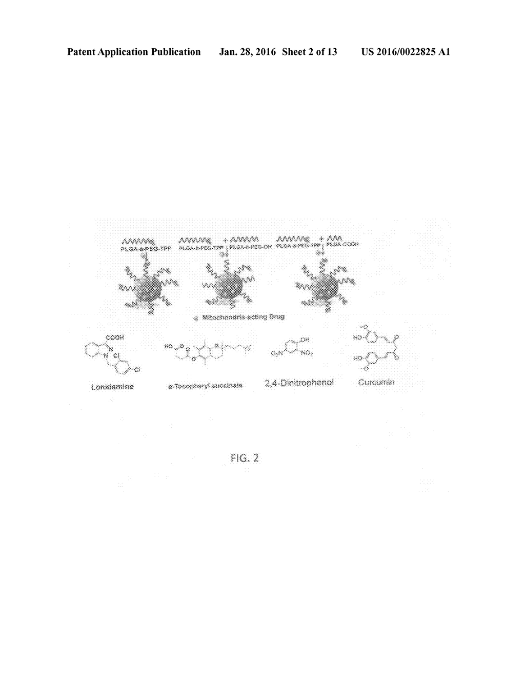 NANOPARTICLES FOR MITOCHONDRIAL TRAFFICKING OF AGENTS - diagram, schematic, and image 03