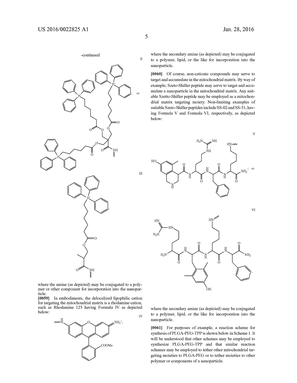 NANOPARTICLES FOR MITOCHONDRIAL TRAFFICKING OF AGENTS - diagram, schematic, and image 19