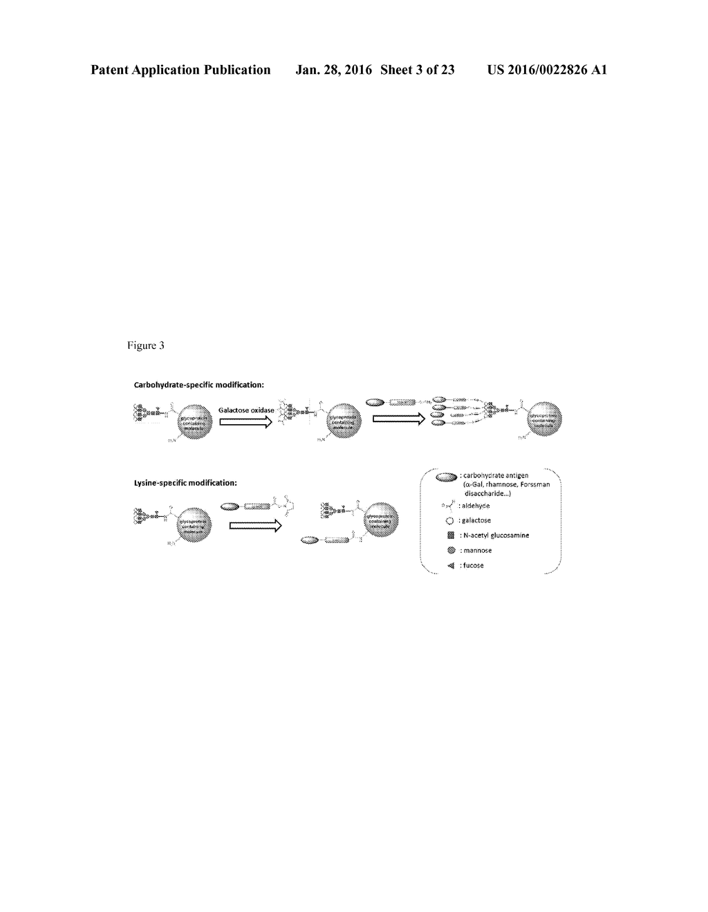 CARBOHYDRATE-MODIFIED GLYCOPROTEINS AND USES THEREOF - diagram, schematic, and image 04