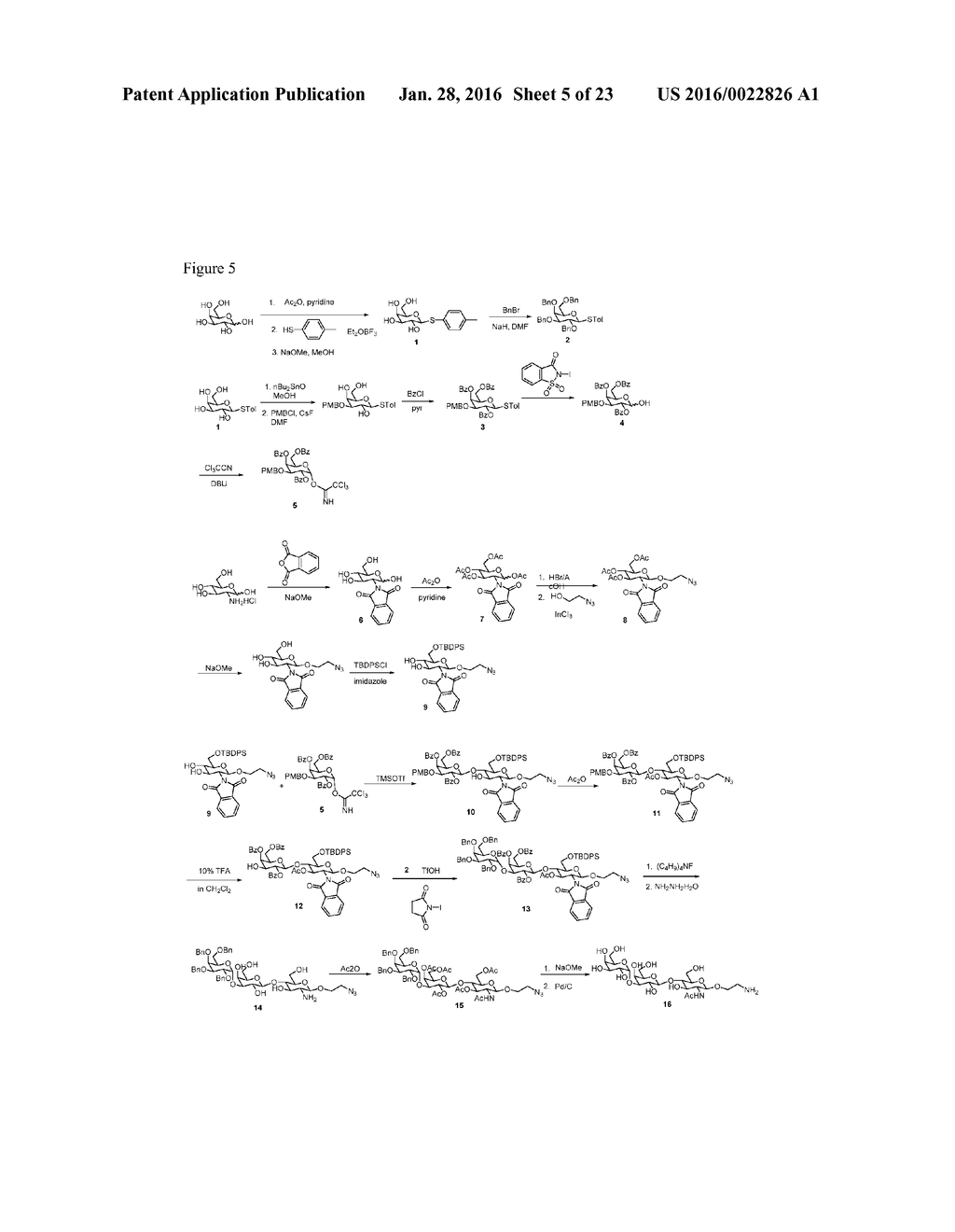 CARBOHYDRATE-MODIFIED GLYCOPROTEINS AND USES THEREOF - diagram, schematic, and image 06