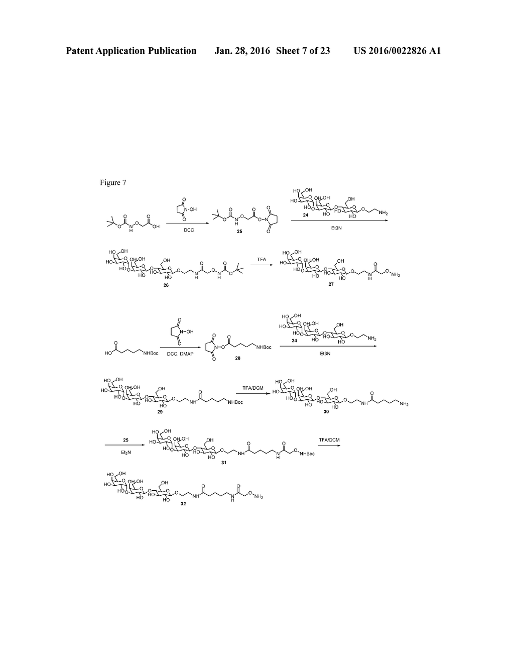 CARBOHYDRATE-MODIFIED GLYCOPROTEINS AND USES THEREOF - diagram, schematic, and image 08