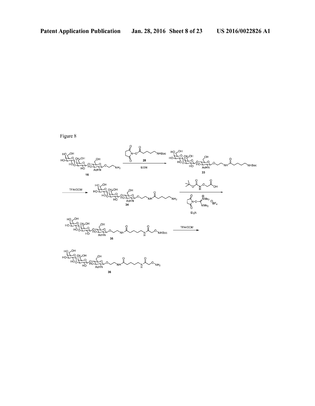CARBOHYDRATE-MODIFIED GLYCOPROTEINS AND USES THEREOF - diagram, schematic, and image 09