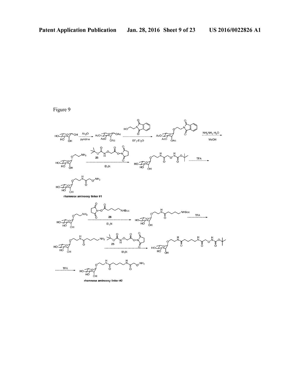 CARBOHYDRATE-MODIFIED GLYCOPROTEINS AND USES THEREOF - diagram, schematic, and image 10
