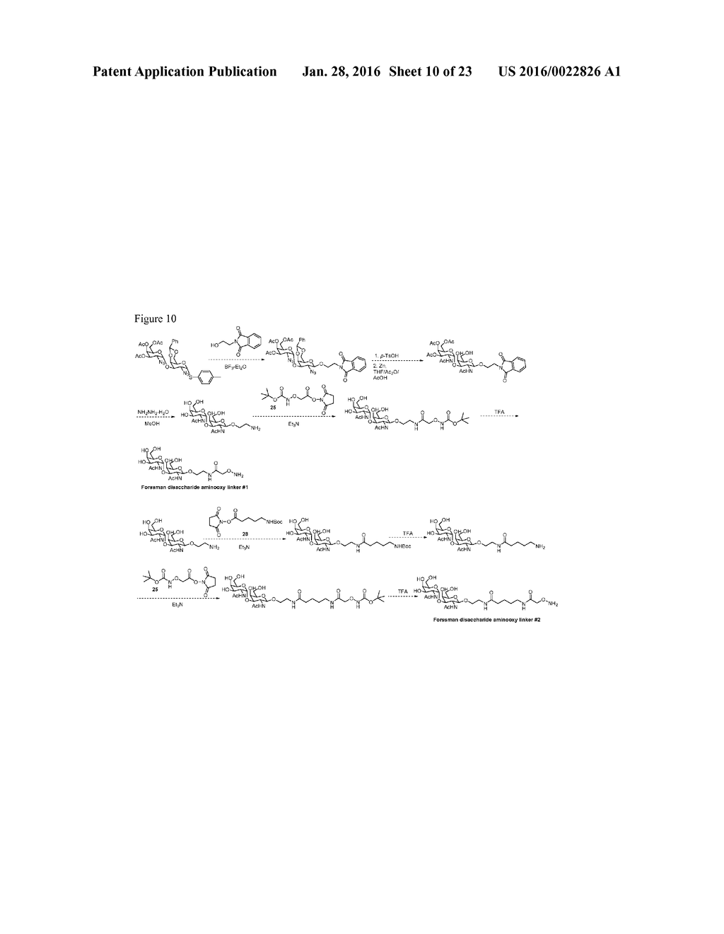 CARBOHYDRATE-MODIFIED GLYCOPROTEINS AND USES THEREOF - diagram, schematic, and image 11