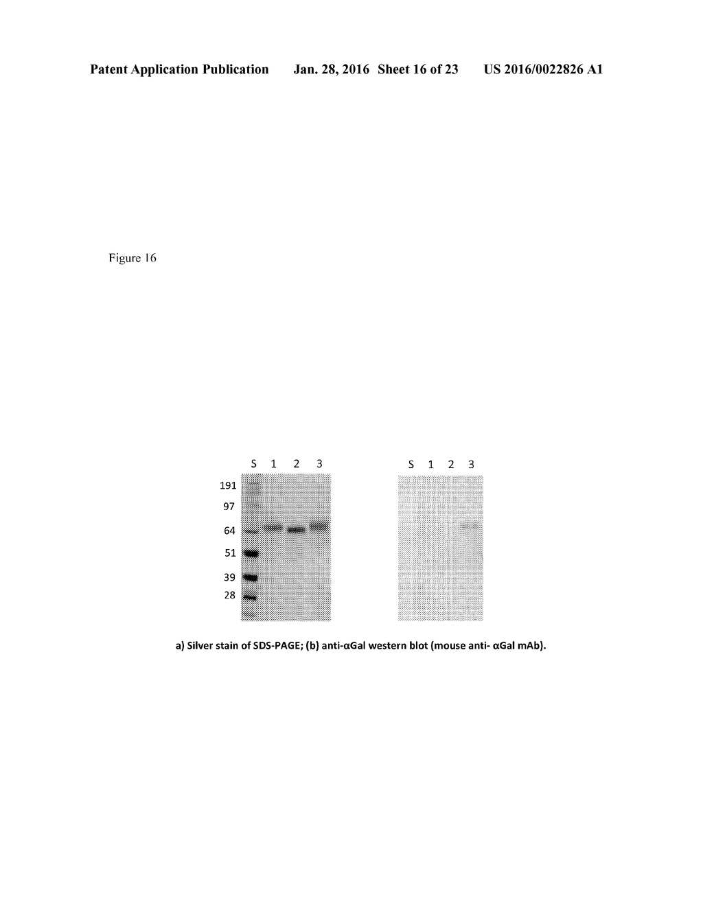 CARBOHYDRATE-MODIFIED GLYCOPROTEINS AND USES THEREOF - diagram, schematic, and image 17