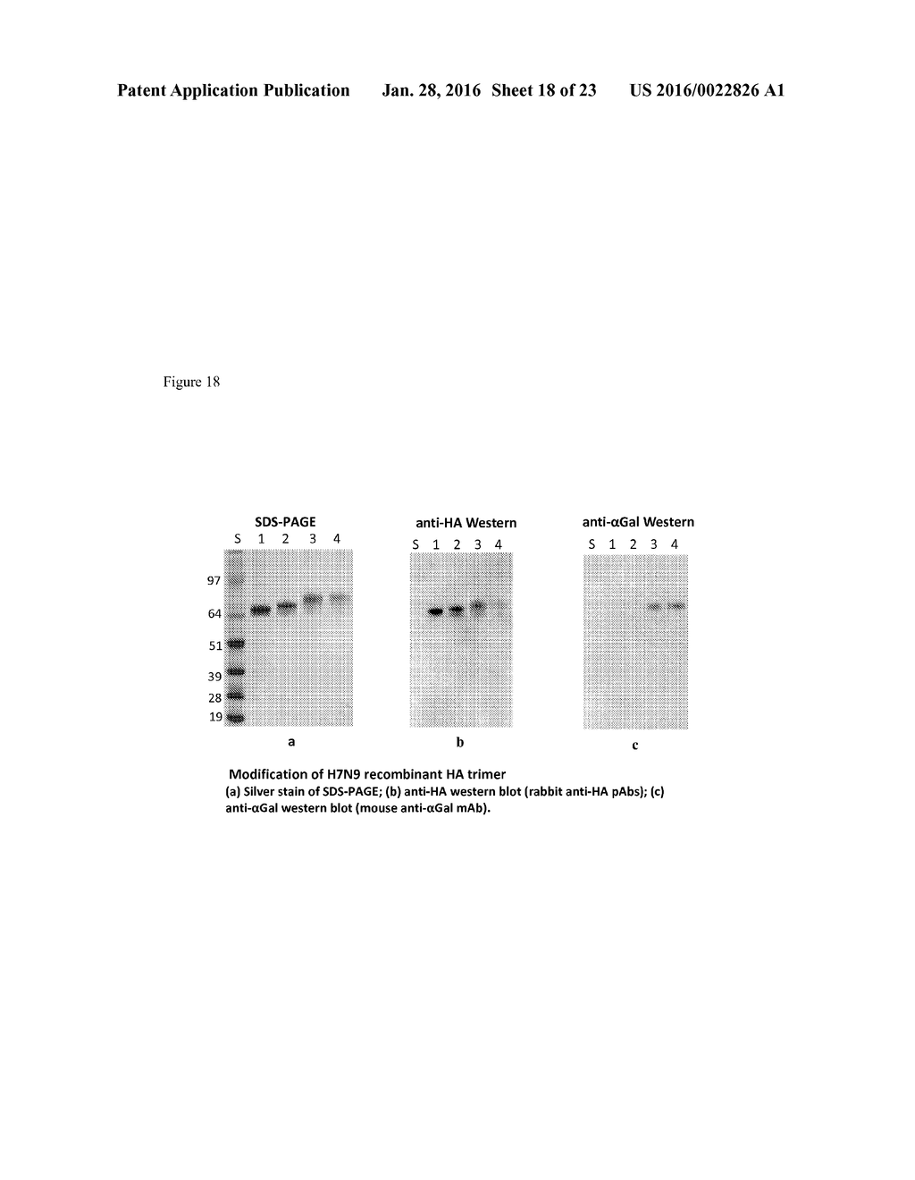 CARBOHYDRATE-MODIFIED GLYCOPROTEINS AND USES THEREOF - diagram, schematic, and image 19