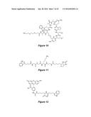 SELECTIVE UV CROSSLINKING OF PEPTIDES AND FUNCTIONAL MOIETIES TO     IMMUNOGLOBULINS diagram and image