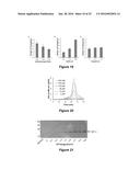 SELECTIVE UV CROSSLINKING OF PEPTIDES AND FUNCTIONAL MOIETIES TO     IMMUNOGLOBULINS diagram and image