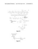 SELECTIVE UV CROSSLINKING OF PEPTIDES AND FUNCTIONAL MOIETIES TO     IMMUNOGLOBULINS diagram and image