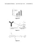 SELECTIVE UV CROSSLINKING OF PEPTIDES AND FUNCTIONAL MOIETIES TO     IMMUNOGLOBULINS diagram and image