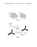 SELECTIVE UV CROSSLINKING OF PEPTIDES AND FUNCTIONAL MOIETIES TO     IMMUNOGLOBULINS diagram and image