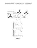 SELECTIVE UV CROSSLINKING OF PEPTIDES AND FUNCTIONAL MOIETIES TO     IMMUNOGLOBULINS diagram and image