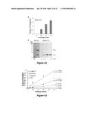 SELECTIVE UV CROSSLINKING OF PEPTIDES AND FUNCTIONAL MOIETIES TO     IMMUNOGLOBULINS diagram and image