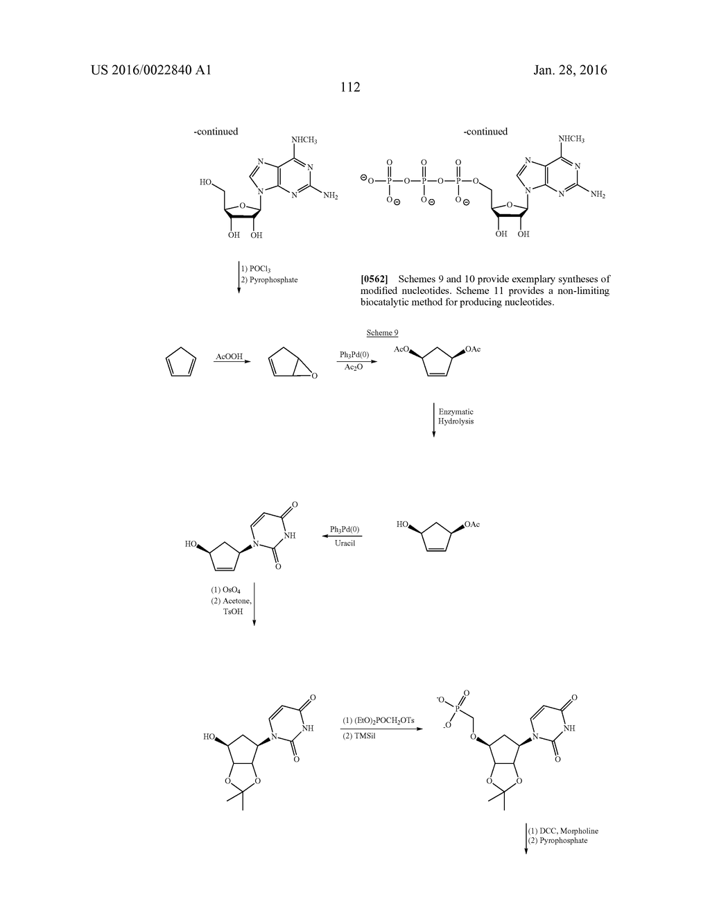 HETEROLOGOUS UNTRANSLATED REGIONS FOR MRNA - diagram, schematic, and image 117