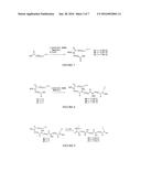 TETRAHYDROXAMATE CHELATORS OF ZIRCONIUM89 AND NIOBIUM90 FOR USE IN     DIAGNOSTIC APPLICATIONS diagram and image