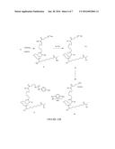 TETRAHYDROXAMATE CHELATORS OF ZIRCONIUM89 AND NIOBIUM90 FOR USE IN     DIAGNOSTIC APPLICATIONS diagram and image