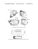 HIGH-STRENGTH AND BIO-ABSORBABLE MAGNESIUM ALLOYS diagram and image