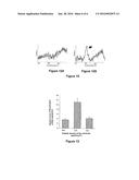 BONE SUBSTITUTES GRAFTED BY MIMETIC PEPTIDES OF HUMAN BMP 2 PROTEIN diagram and image