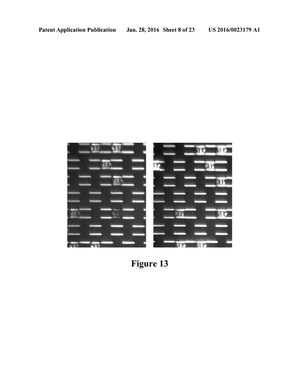 MICRODEVICE ARRAYS FORMED BY MAGNETIC ASSEMBLY - diagram, schematic, and image 09