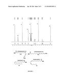 COMPLEX CATALYSTS BASED ON AMINO-PHOSPHINE LIGANDS FOR HYDROGENATION AND     DEHYDROGENATION PROCESSES diagram and image