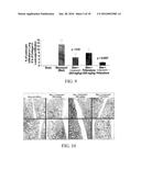 SUBSTITUTED AROMATIC COMPOUNDS FOR THE TREATMENT OF PULMONARY FIBROSIS,     LIVER FIBROSIS,SKIN FIBROSIS AND CARDIAC FIBROSIS diagram and image