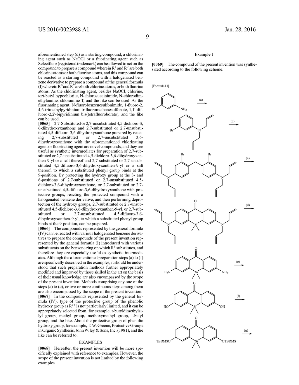 FLUORESCENT PROBE - diagram, schematic, and image 18