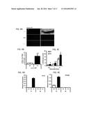 PPAR AGONISTS diagram and image