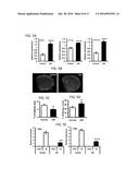 PPAR AGONISTS diagram and image